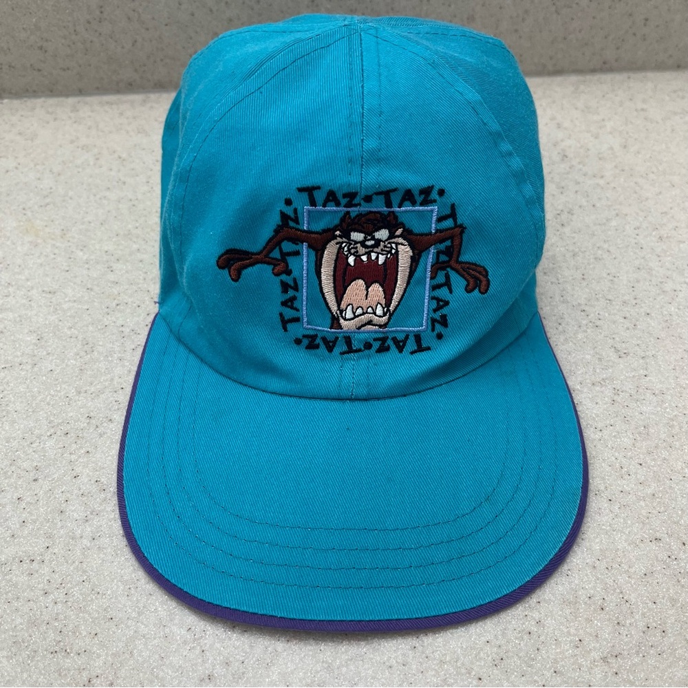 Vintage Looney Tunes Reversible Hat Cap Taz and Tweety Purple Teal 1997